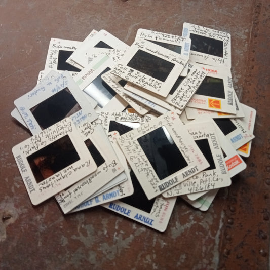 Biologist photo slides 10 pack