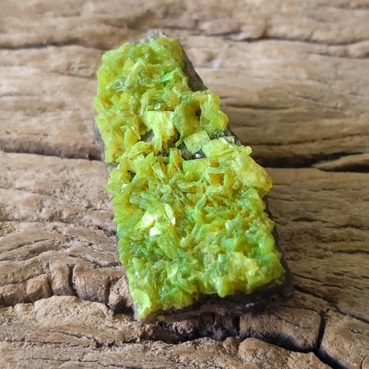 Autunite specimen