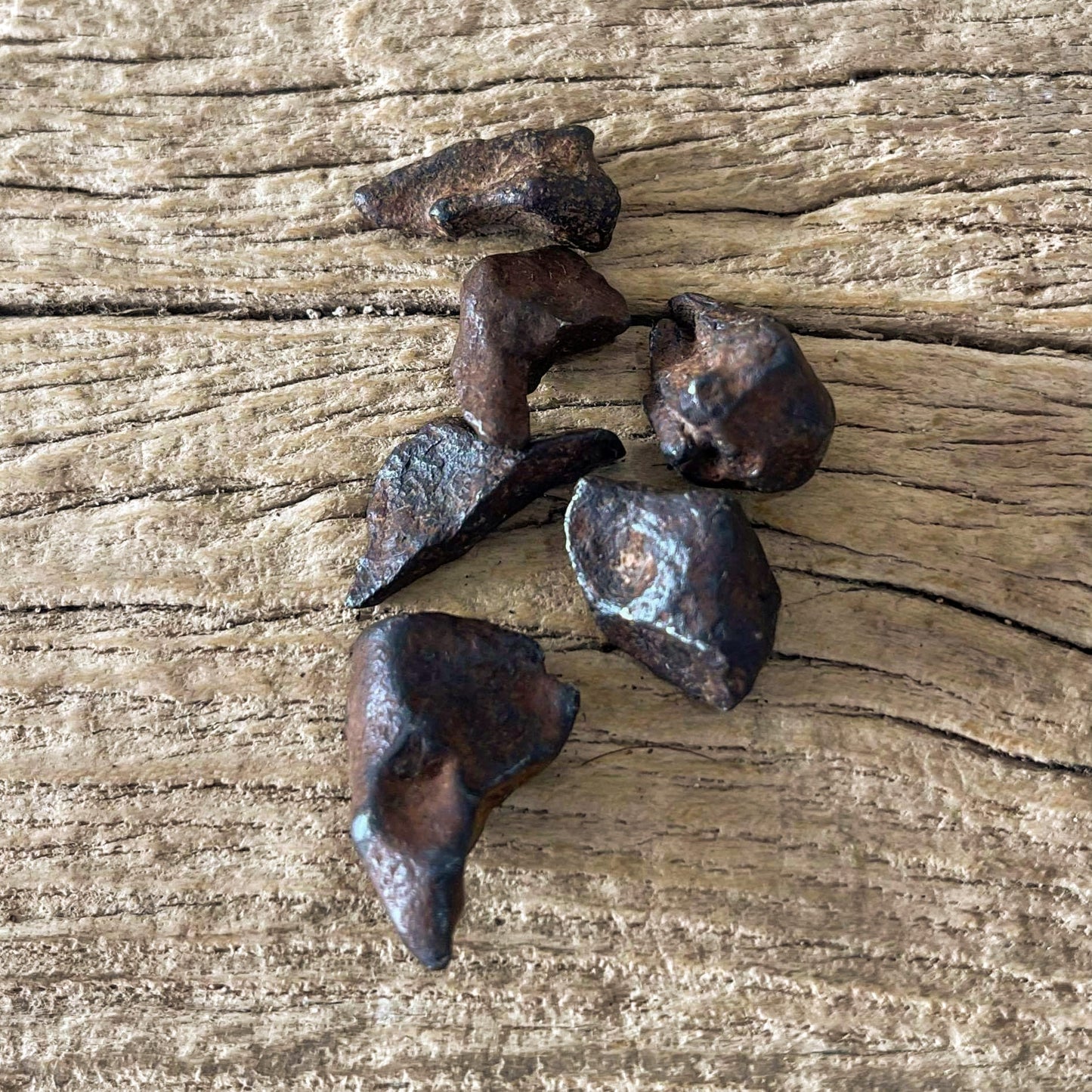 Agoudal IIAB Iron Meteorite fragments