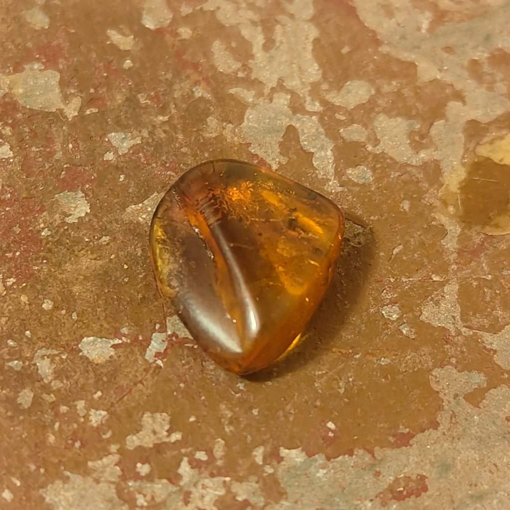 Baltic Amber with inclusions