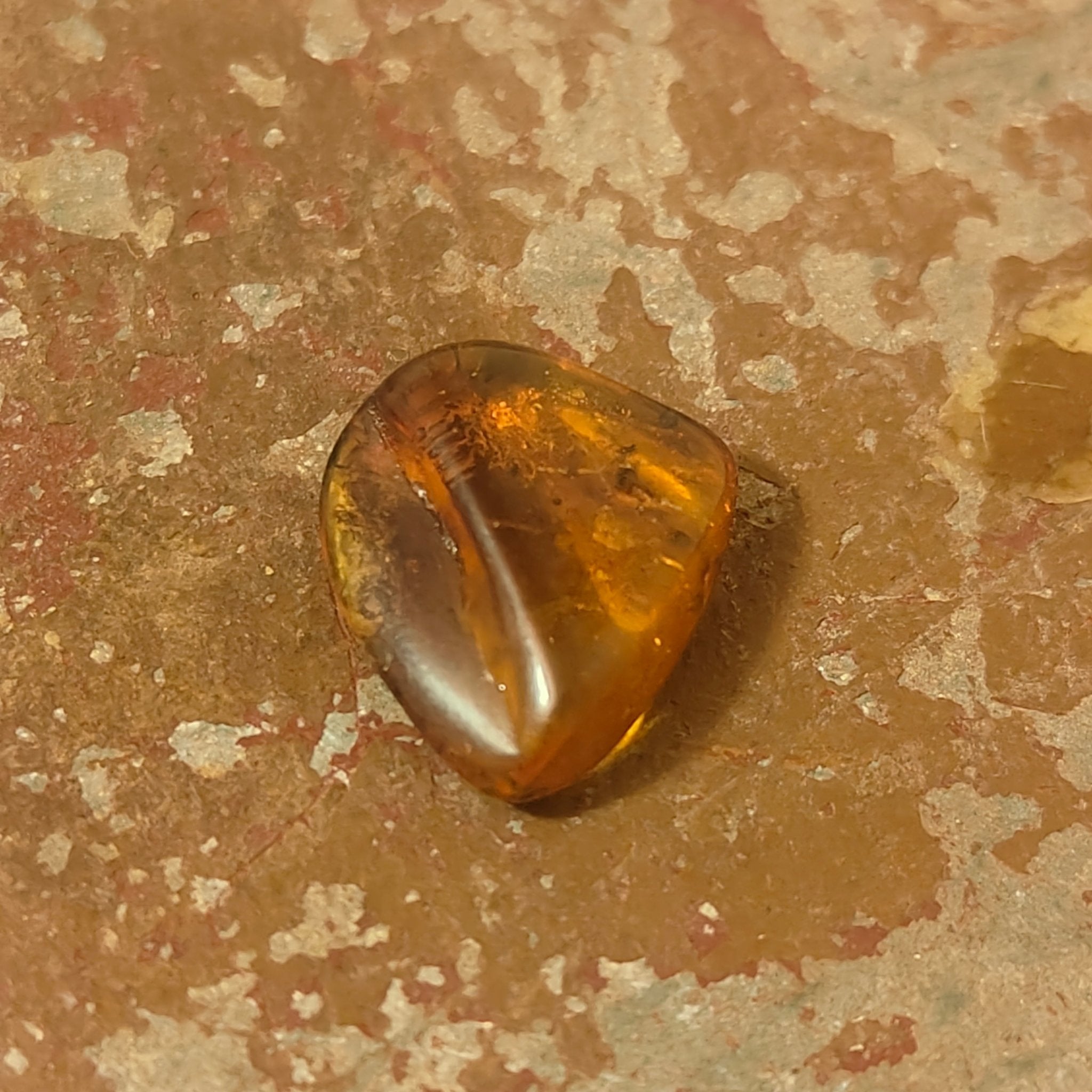 Baltic Amber with inclusions - Lost archives store - product_name_for_sale - product_name_for_sale_australia - category_name