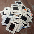 Biologist photo slides 10 pack