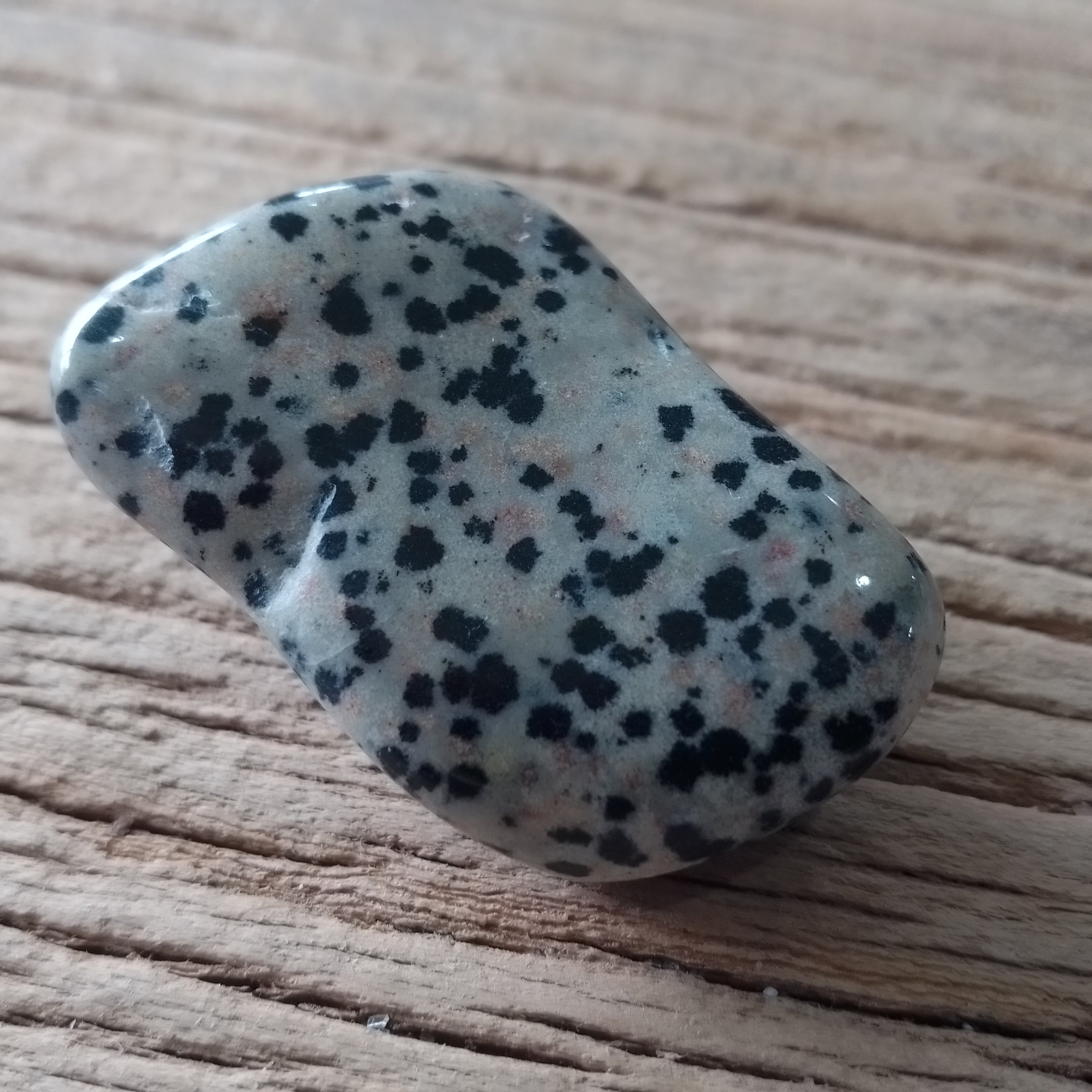 Dalmatian Jasper tumblestones