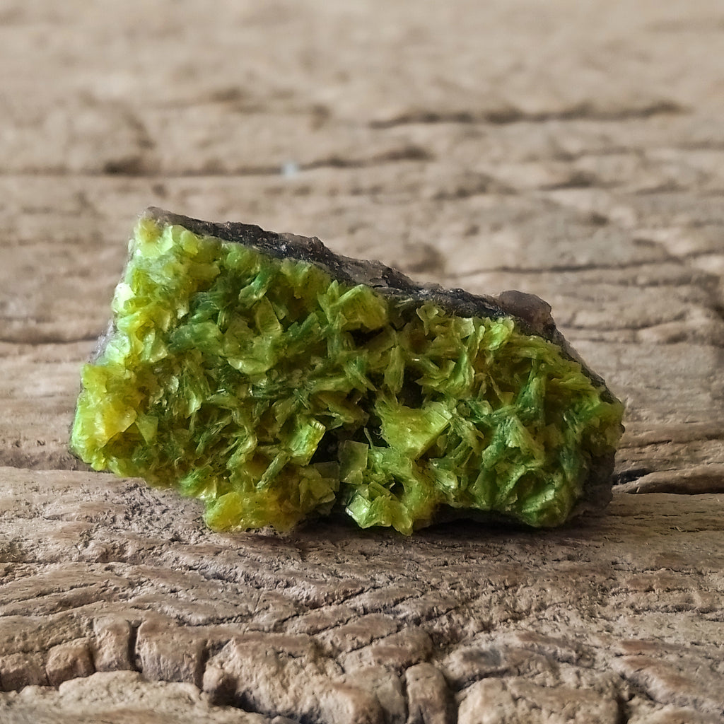 Autunite specimen
