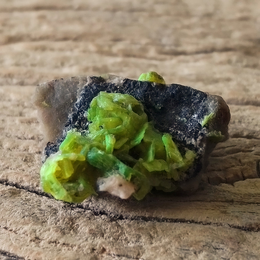 Autunite specimen