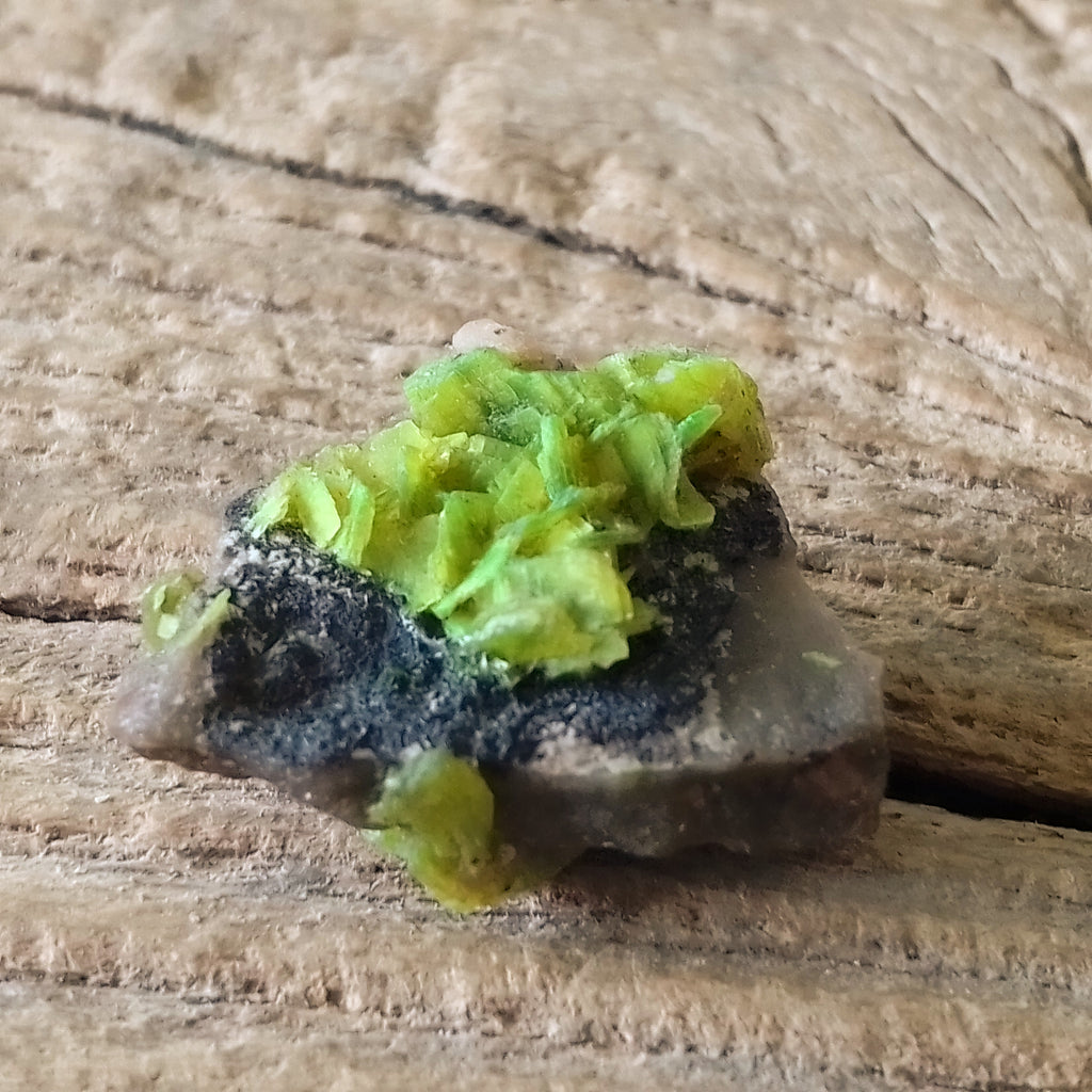 Autunite specimen