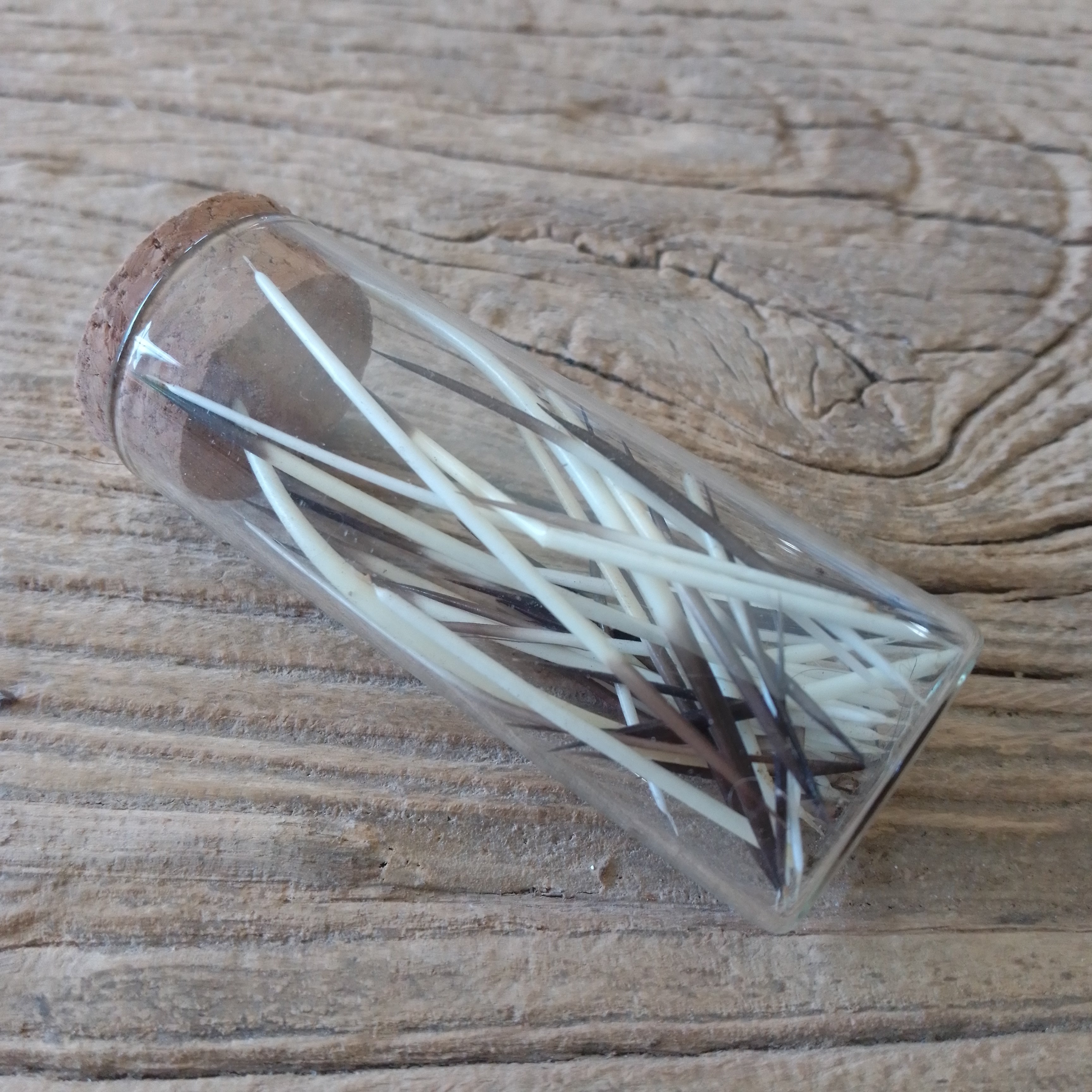 American Porcupine quill vial