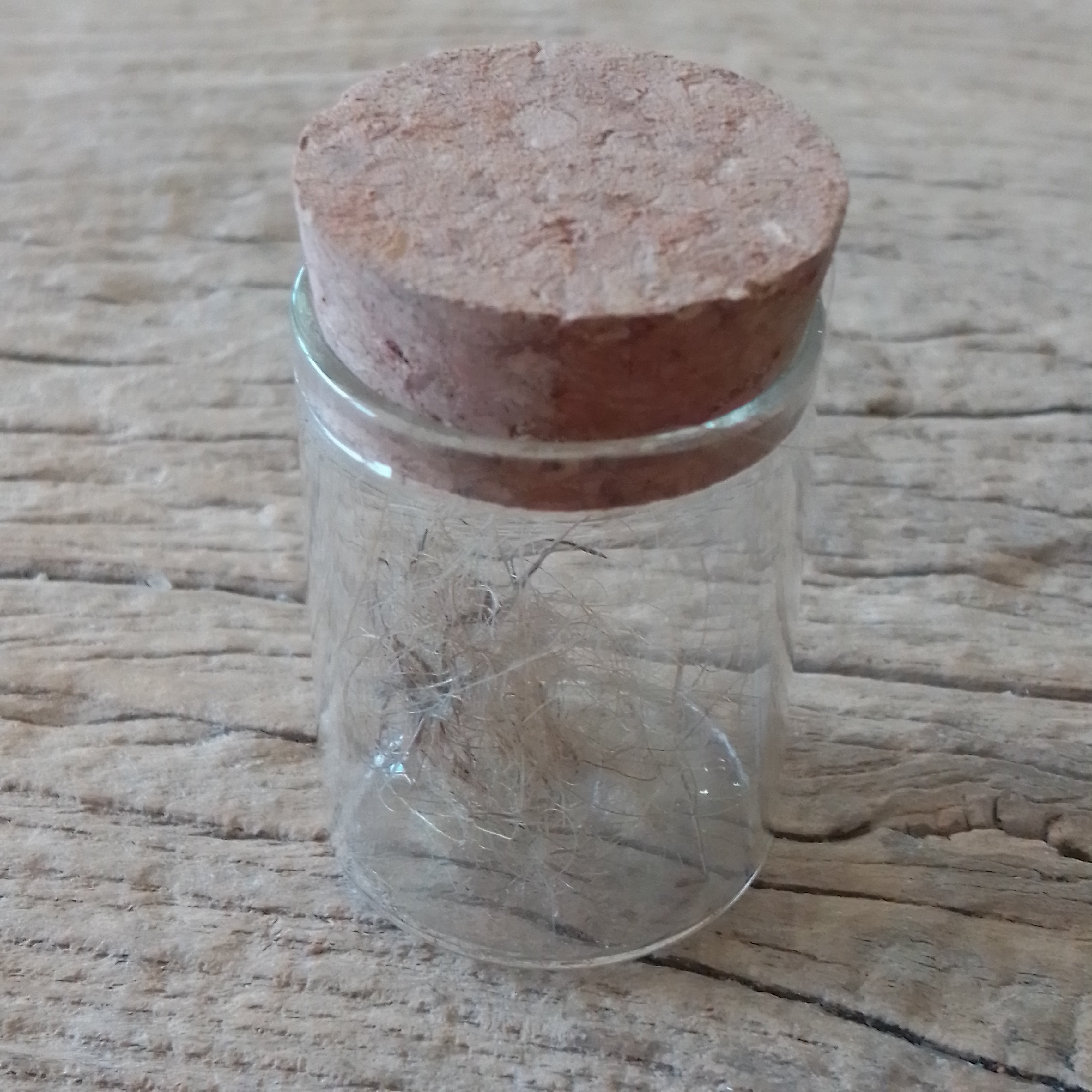 Wooly Mammoth Hair vial