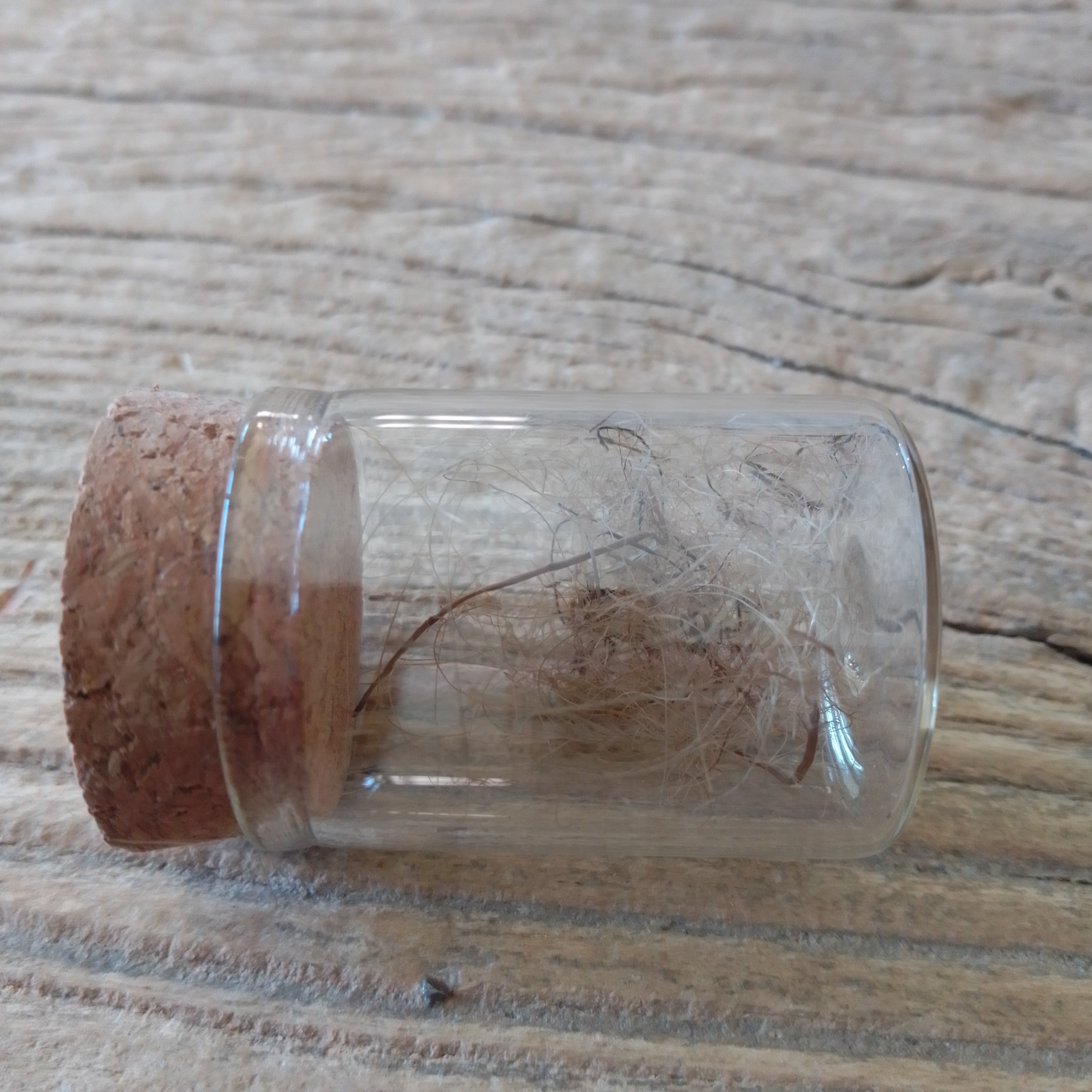 Wooly Mammoth Hair vial