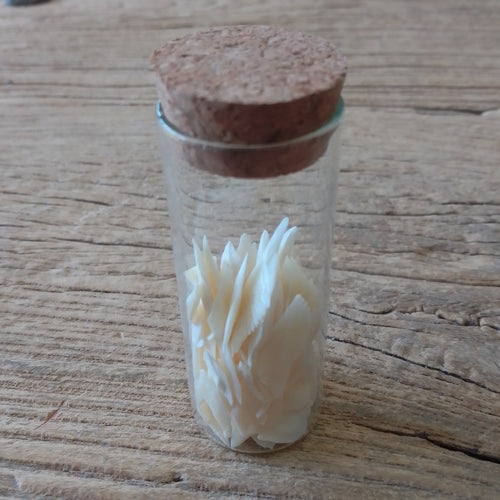 Alligator gar scale vial