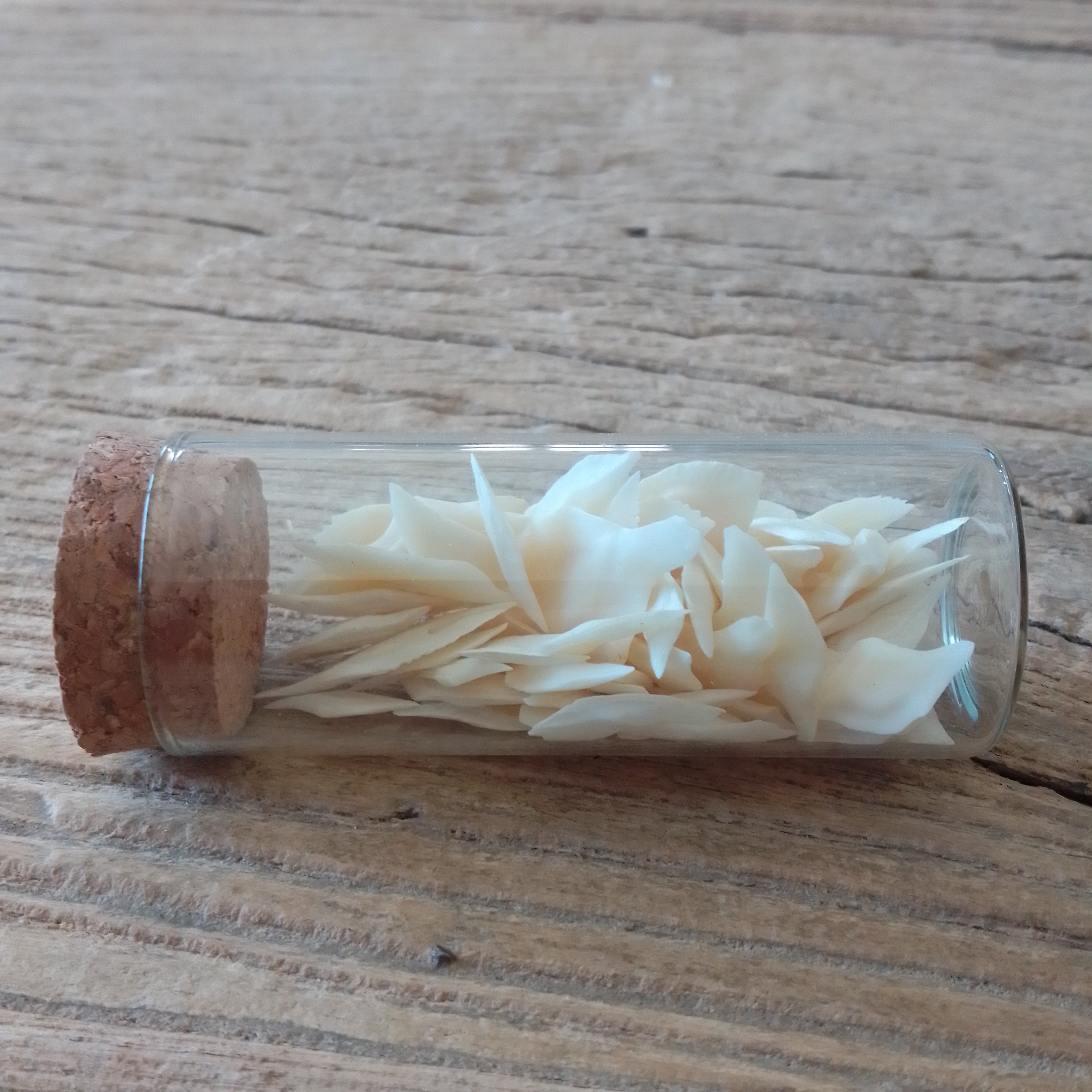 Alligator gar scale vial