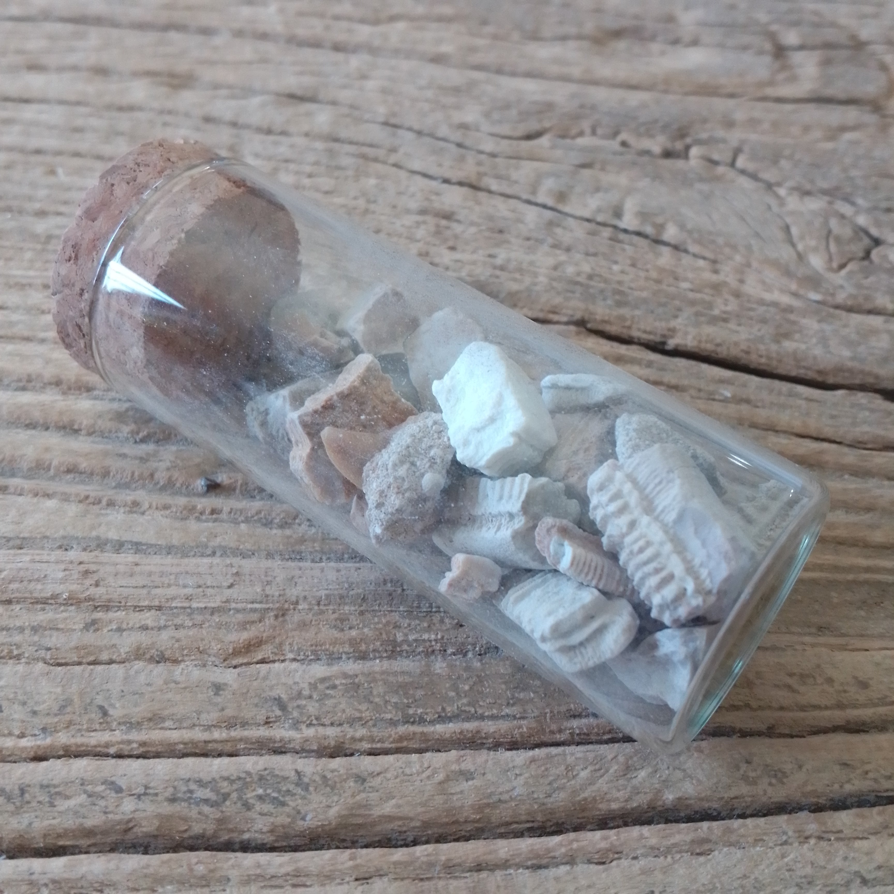 Fossil Ray mouth plate vial