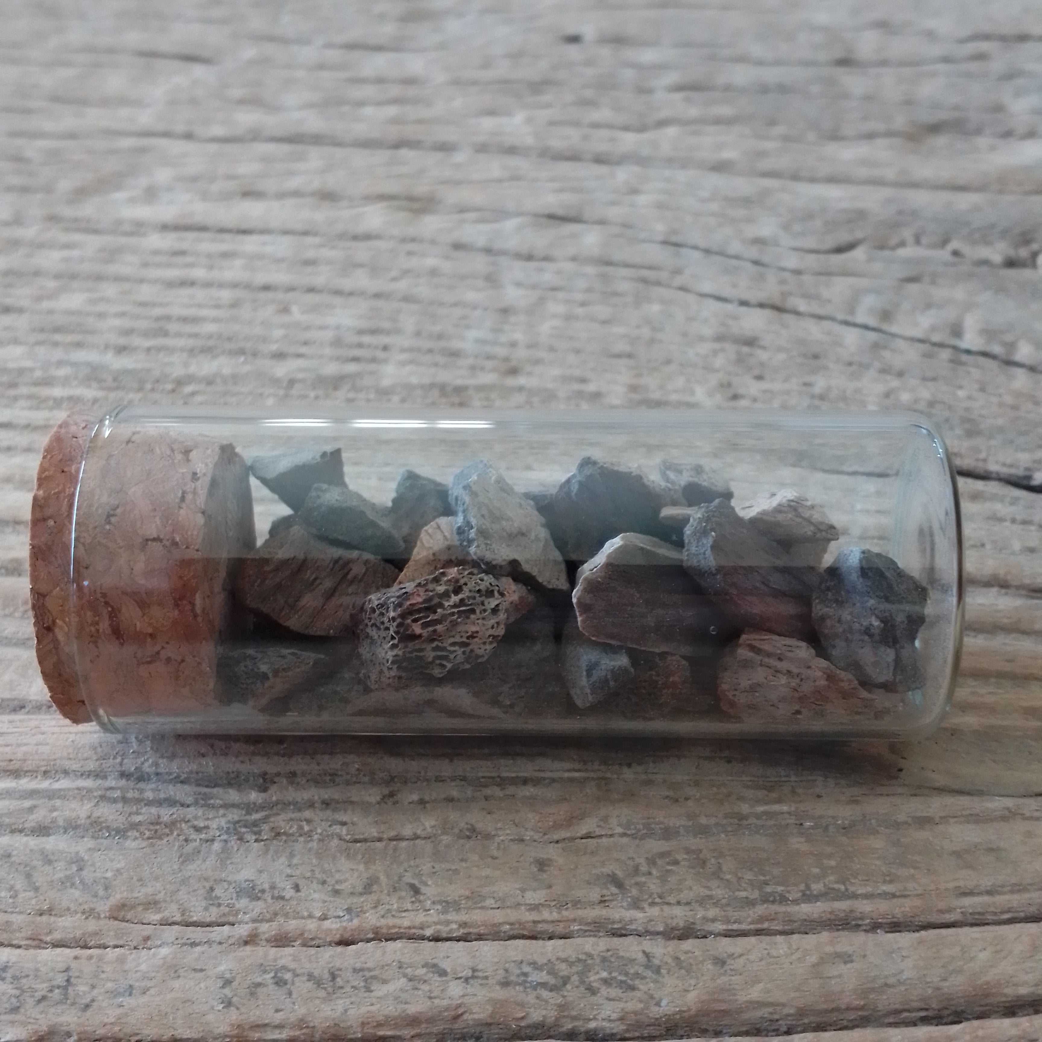 Triceratops bone fragment vial