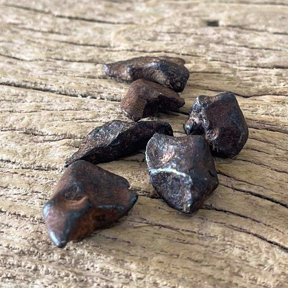 Agoudal IIAB Iron Meteorite fragments - Lost archives store - product_name_for_sale - product_name_for_sale_australia - category_name