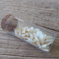 Alligator gar scale vial - Lost archives store - product_name_for_sale - product_name_for_sale_australia - category_name