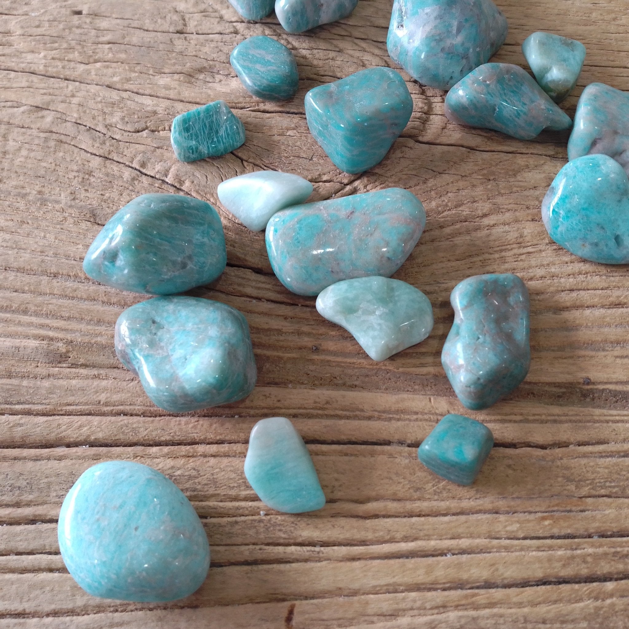 Amazonite tumblestones - Lost archives store - product_name_for_sale - product_name_for_sale_australia - category_name