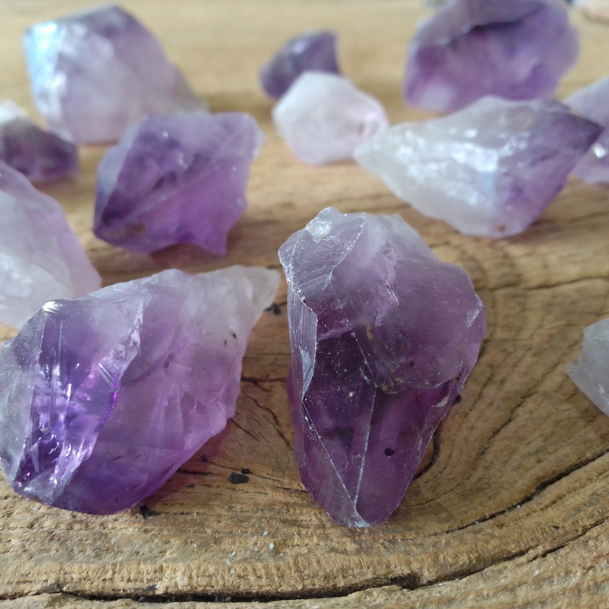 Amethyst points - Lost archives store - product_name_for_sale - product_name_for_sale_australia - category_name