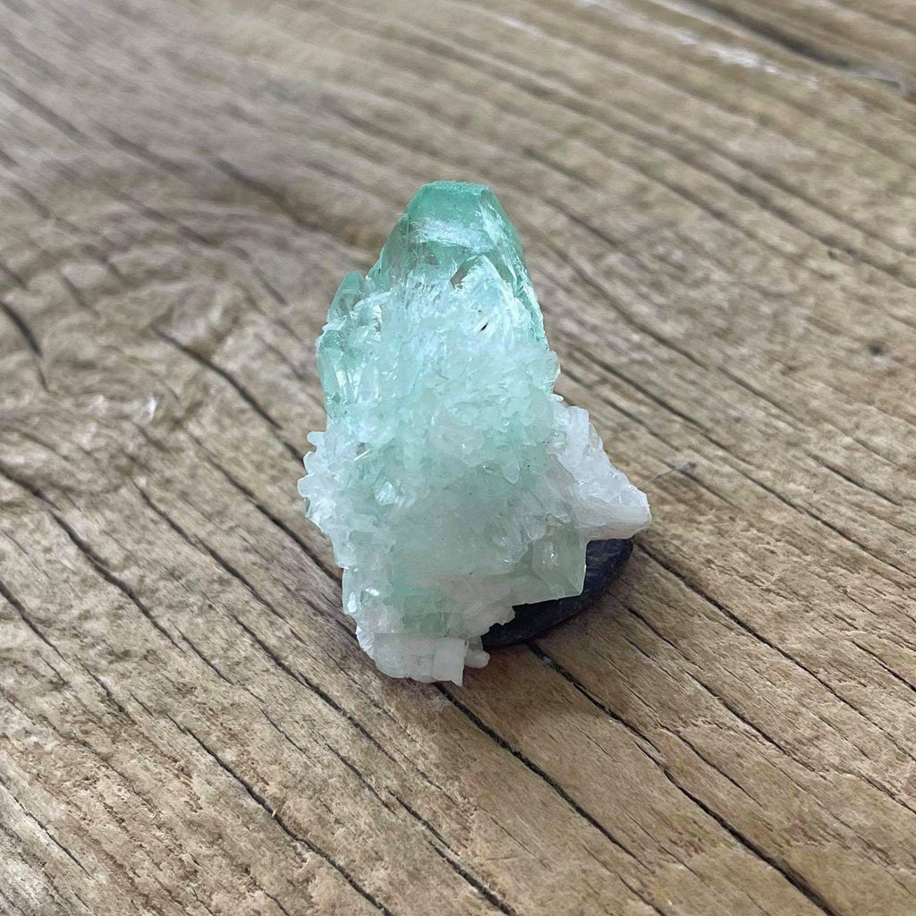 Apopholite specimen - Lost archives store - product_name_for_sale - product_name_for_sale_australia - category_name