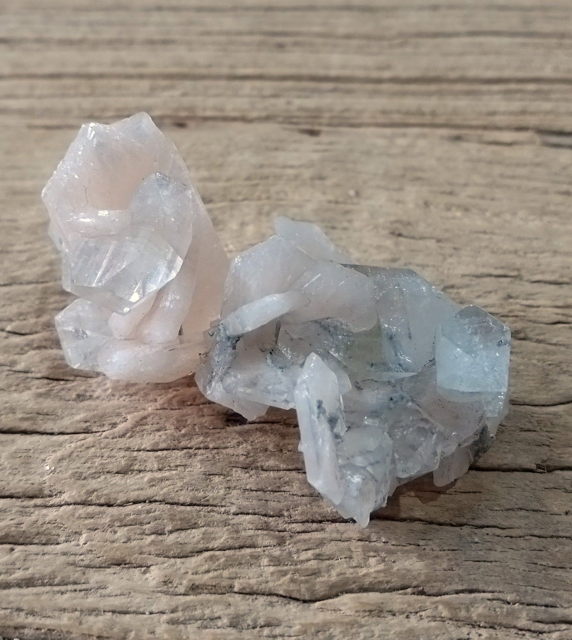 Apophyllite on stilbite specimen - Lost archives store - product_name_for_sale - product_name_for_sale_australia - category_name