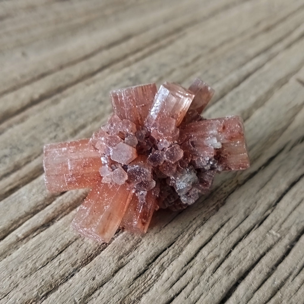 Aragonite sputniks - Lost archives store - product_name_for_sale - product_name_for_sale_australia - category_name