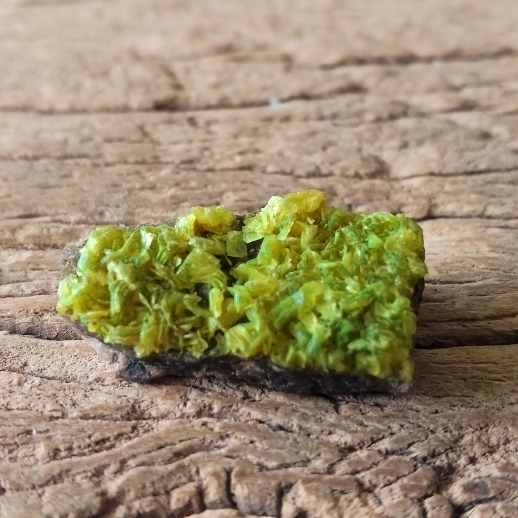 Autunite specimen - Lost archives store - product_name_for_sale - product_name_for_sale_australia - category_name