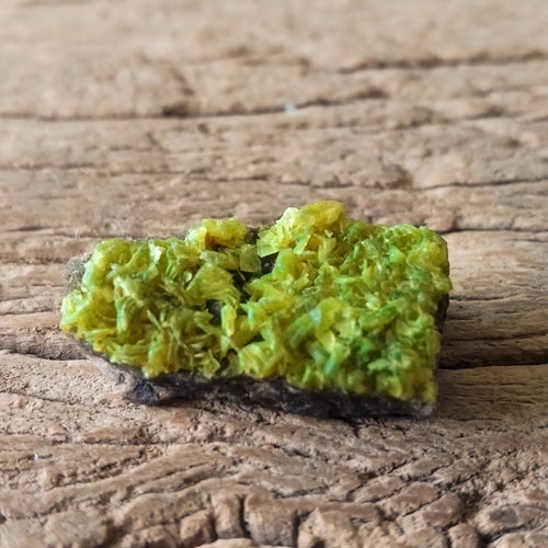 Autunite specimen - Lost archives store - product_name_for_sale - product_name_for_sale_australia - category_name