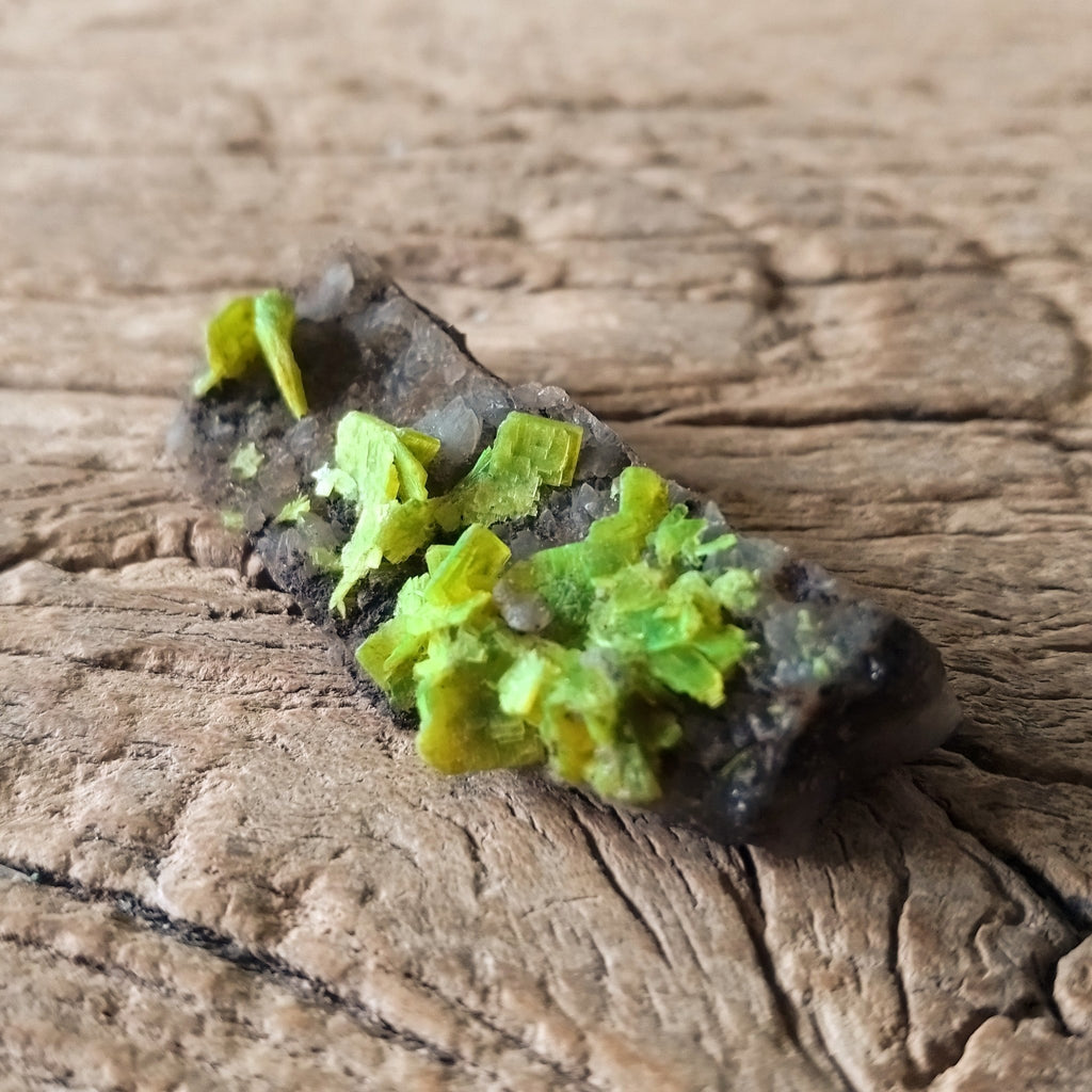 Autunite specimen - Lost archives store - product_name_for_sale - product_name_for_sale_australia - category_name