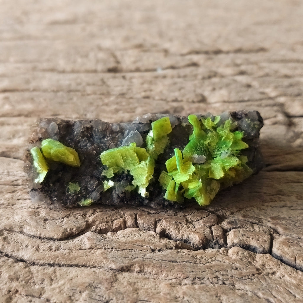 Autunite specimen - Lost archives store - product_name_for_sale - product_name_for_sale_australia - category_name