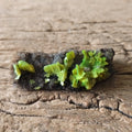 Autunite specimen - Lost archives store - product_name_for_sale - product_name_for_sale_australia - category_name