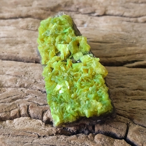 Autunite specimen - Lost archives store - product_name_for_sale - product_name_for_sale_australia - category_name