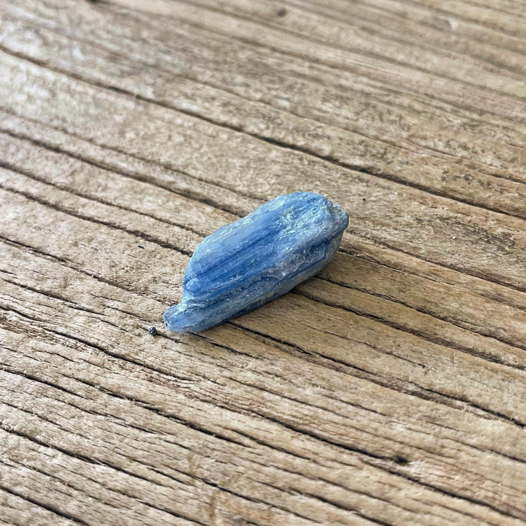 Blue kyanite blade pack - Lost archives store - product_name_for_sale - product_name_for_sale_australia - category_name