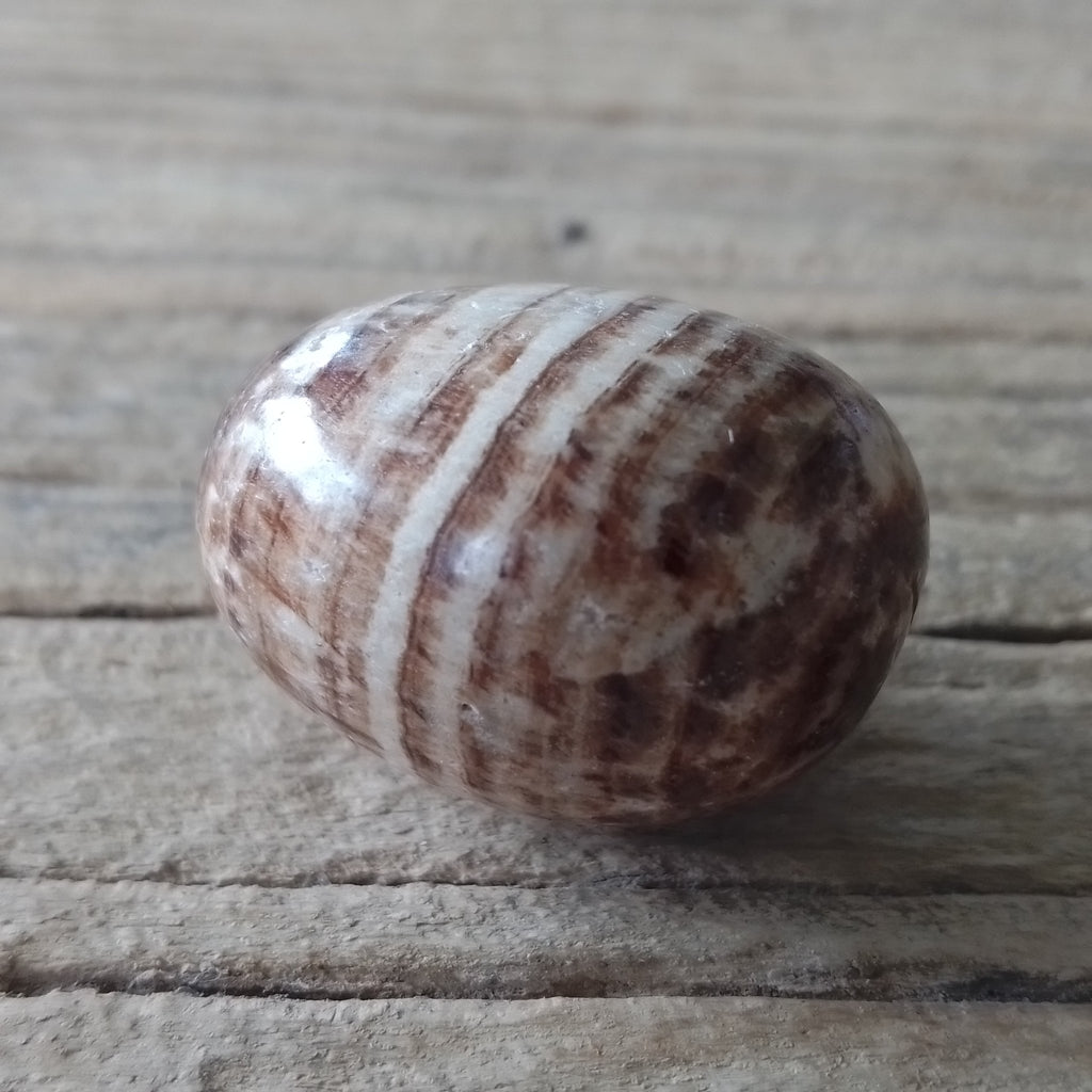 Brown aragonite tumblestones - Lost archives store - product_name_for_sale - product_name_for_sale_australia - category_name