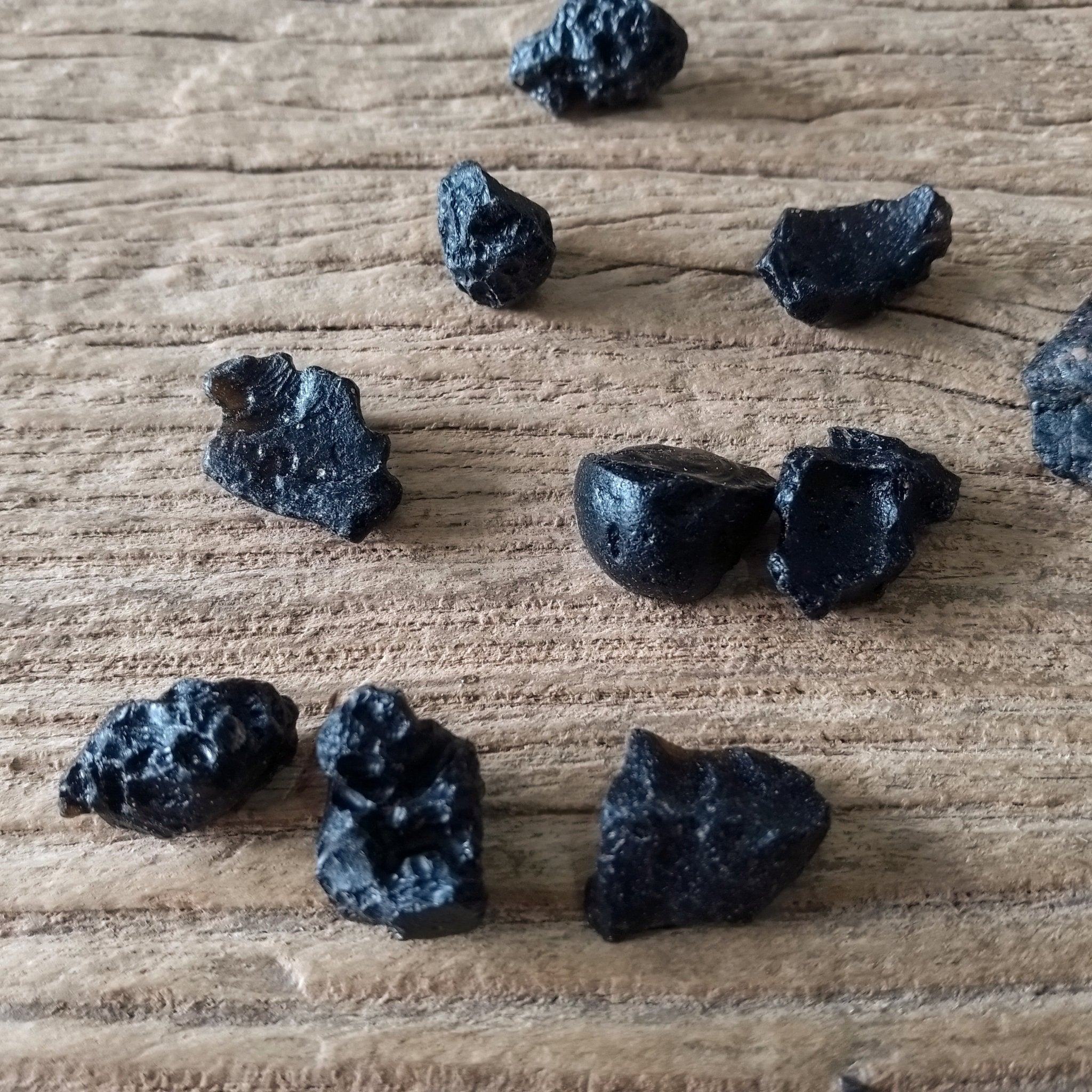 Budget tektites - Lost archives store - product_name_for_sale - product_name_for_sale_australia - category_name