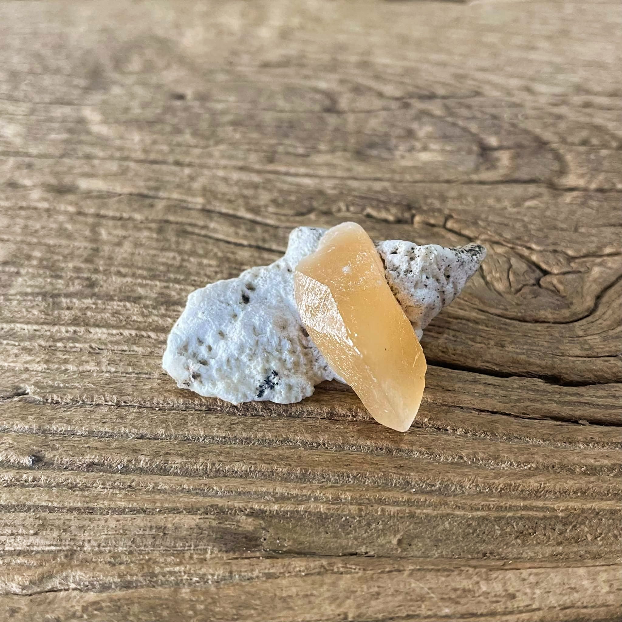 Calcite on okenite Mineral specimen - Lost archives store - product_name_for_sale - product_name_for_sale_australia - category_name