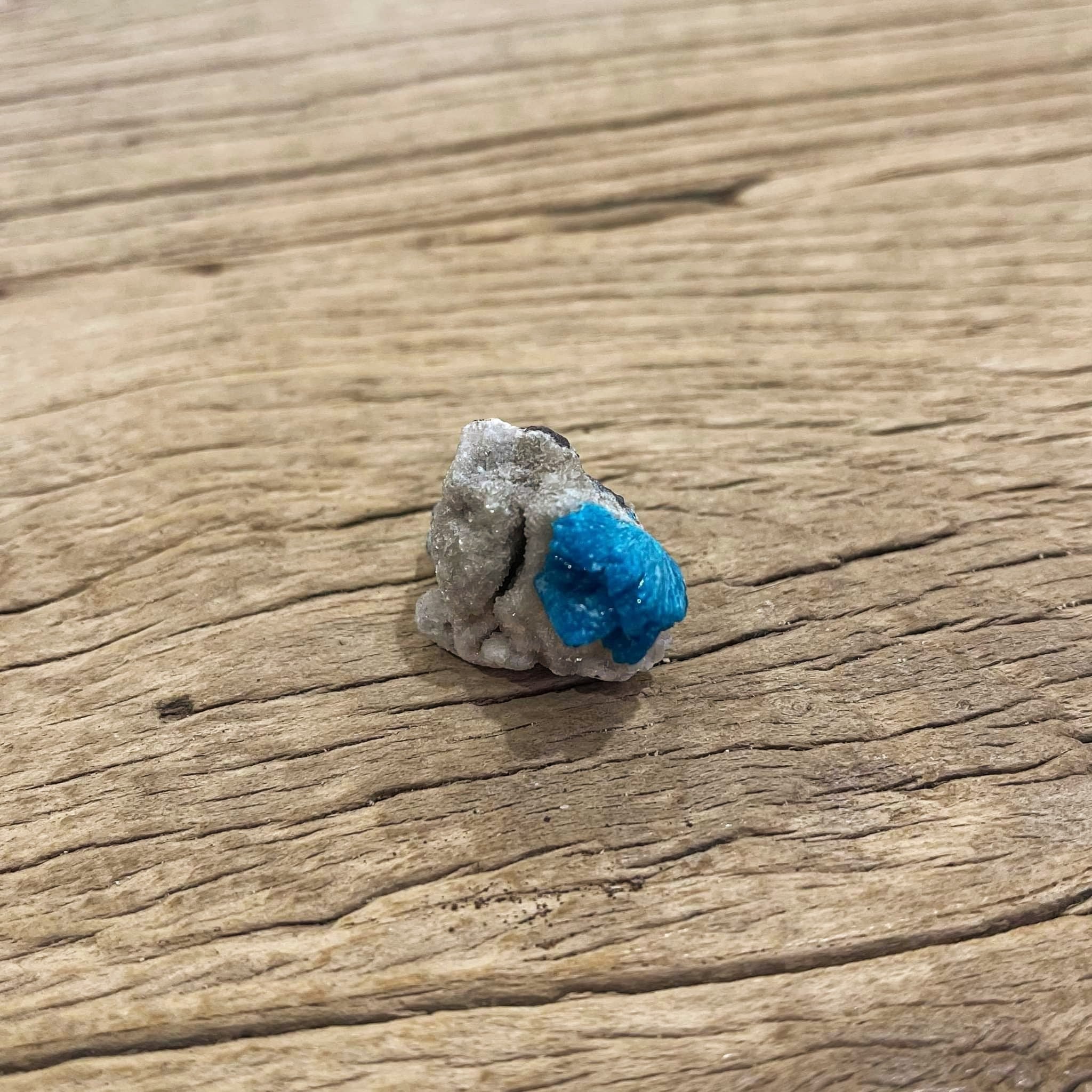 Cavansite Mineral specimen - Lost archives store - product_name_for_sale - product_name_for_sale_australia - category_name