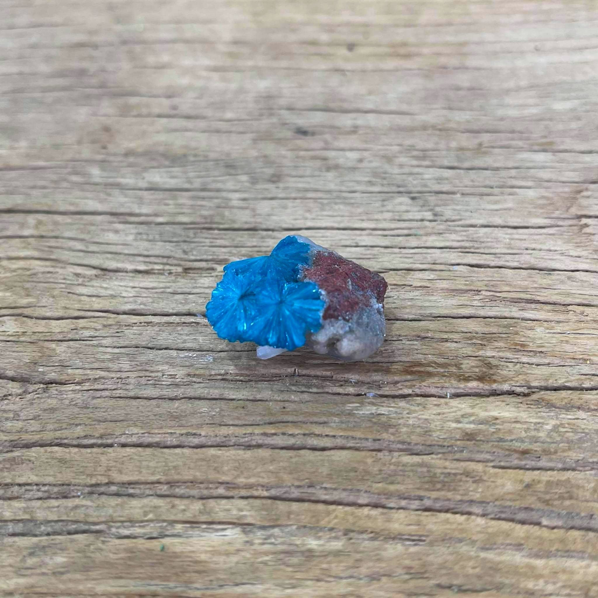 Cavansite Mineral specimen - Lost archives store - product_name_for_sale - product_name_for_sale_australia - category_name