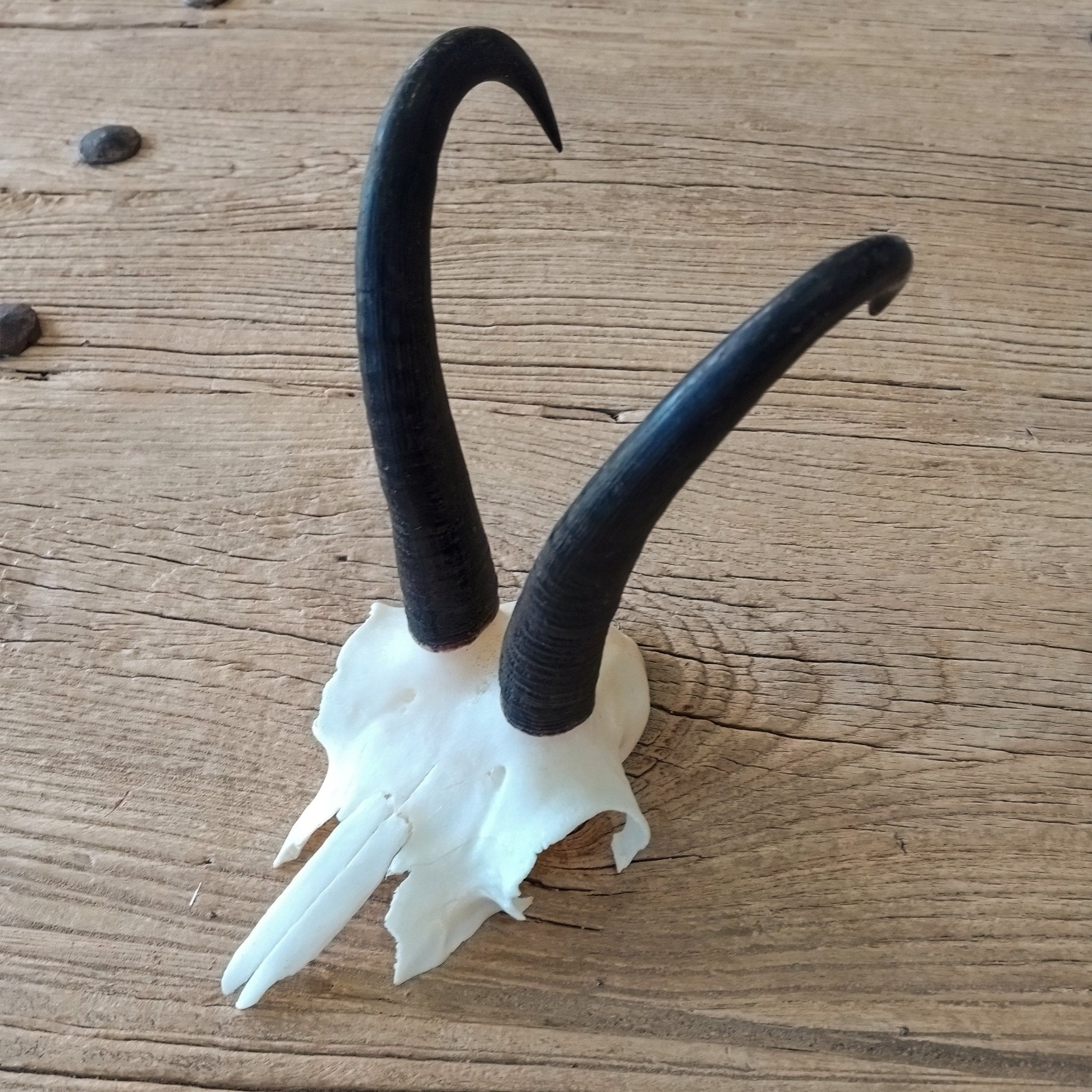 Chamois skullcap - Lost archives store - product_name_for_sale - product_name_for_sale_australia - category_name