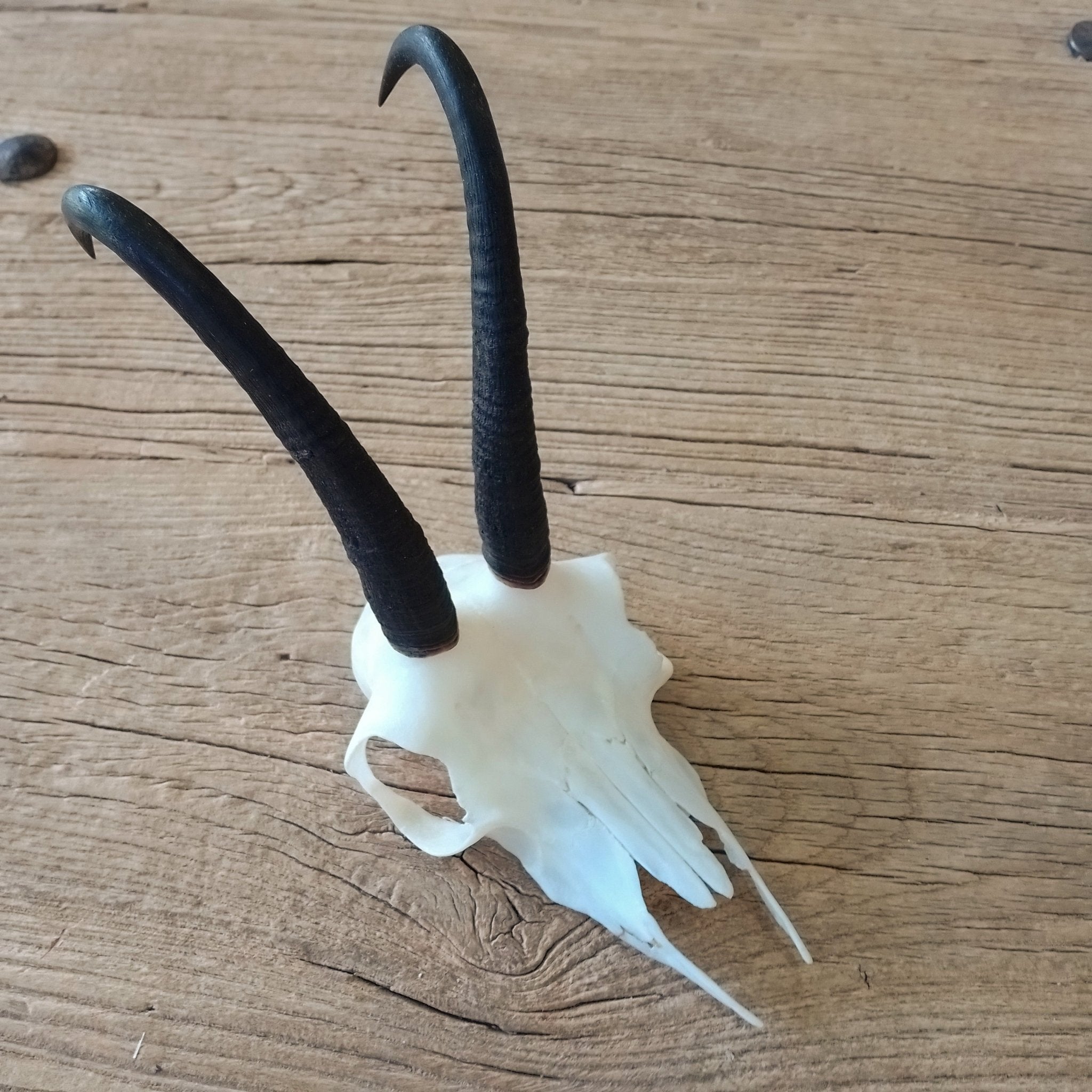 Chamois skullcap - Lost archives store - product_name_for_sale - product_name_for_sale_australia - category_name