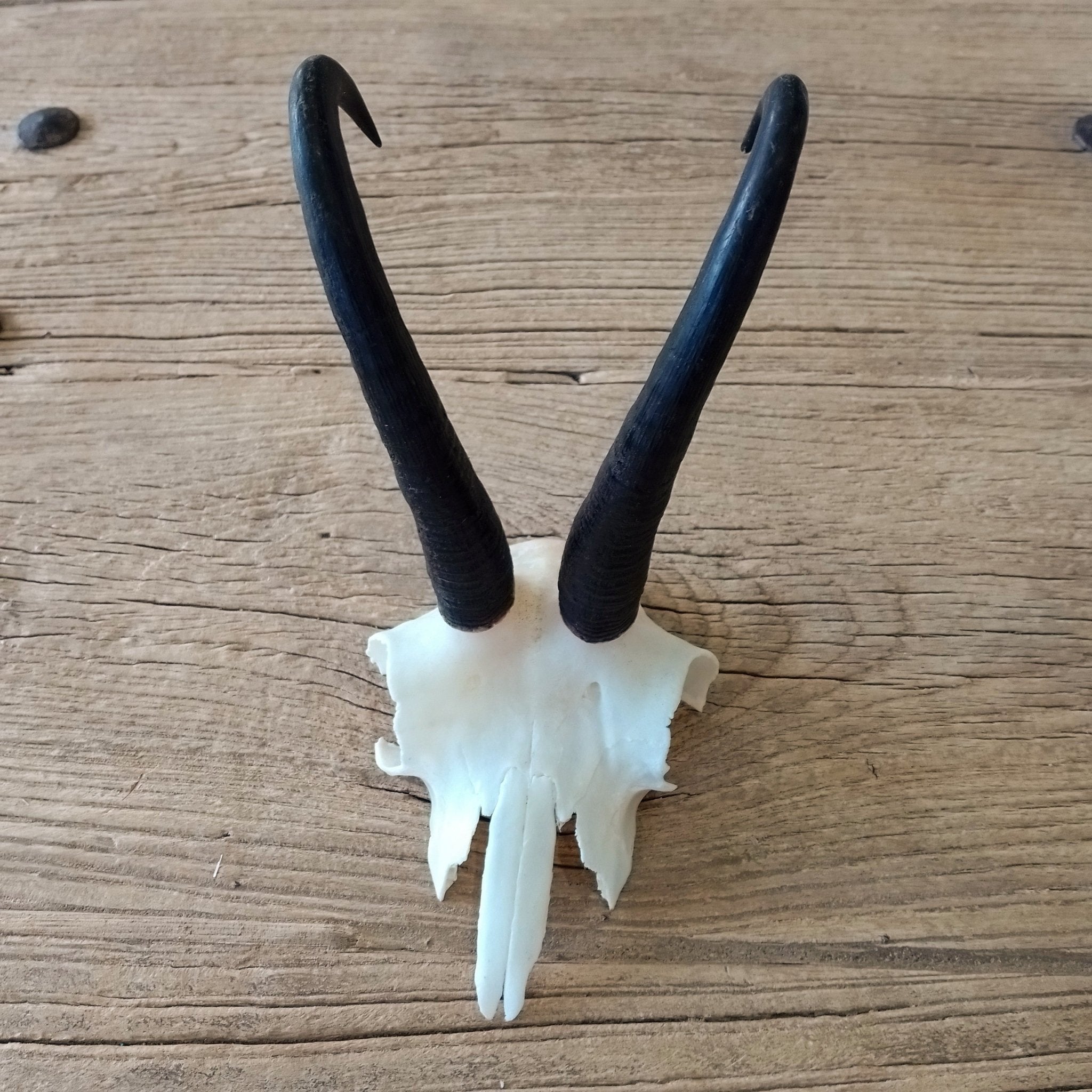 Chamois skullcap - Lost archives store - product_name_for_sale - product_name_for_sale_australia - category_name