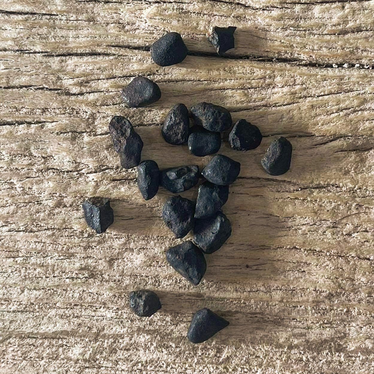 Chelyabinsk Meteorite fragments - Lost archives store - product_name_for_sale - product_name_for_sale_australia - category_name