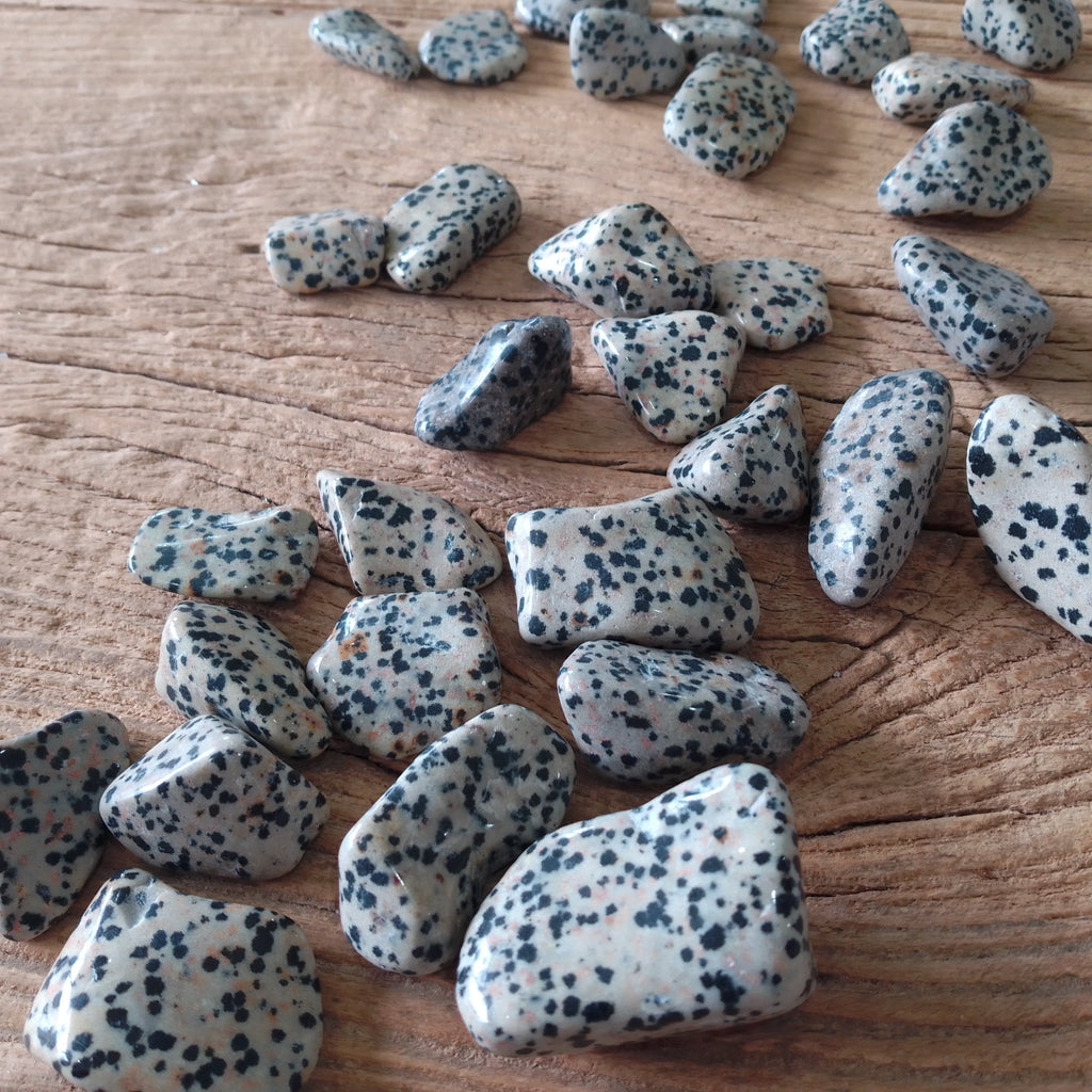 Dalmatian Jasper tumblestones - Lost archives store - product_name_for_sale - product_name_for_sale_australia - category_name