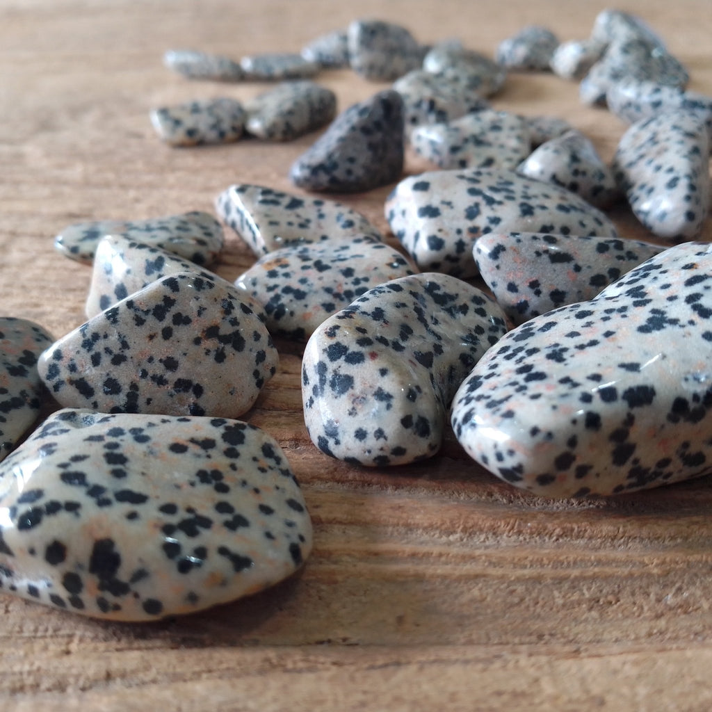 Dalmatian Jasper tumblestones - Lost archives store - product_name_for_sale - product_name_for_sale_australia - category_name