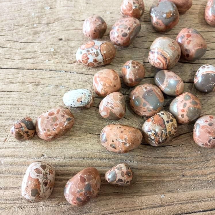 Leopard skin Jasper tumblestones - Lost archives store - product_name_for_sale - product_name_for_sale_australia - category_name