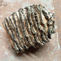 Mammuthus tooth - Lost archives store - product_name_for_sale - product_name_for_sale_australia - category_name