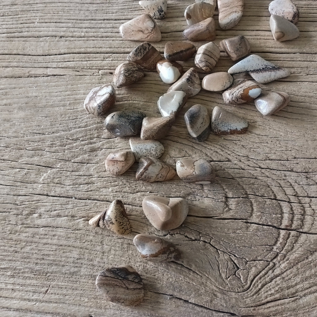 Picture Jasper tumblestones - Lost archives store - product_name_for_sale - product_name_for_sale_australia - category_name