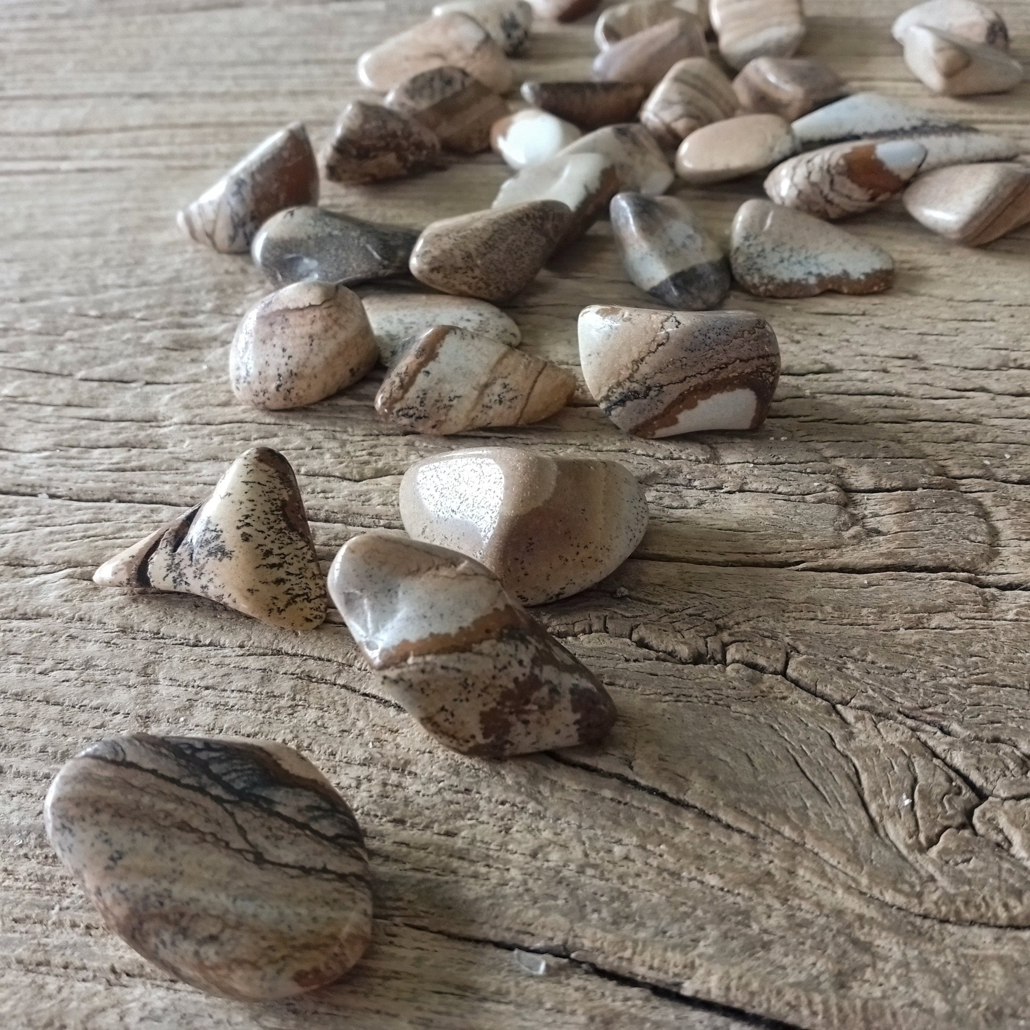 Picture Jasper tumblestones - Lost archives store - product_name_for_sale - product_name_for_sale_australia - category_name