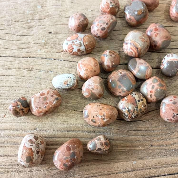 Leopard skin Jasper tumblestones