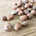 Leopard skin Jasper tumblestones