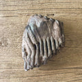 Stegodon tooth fossil