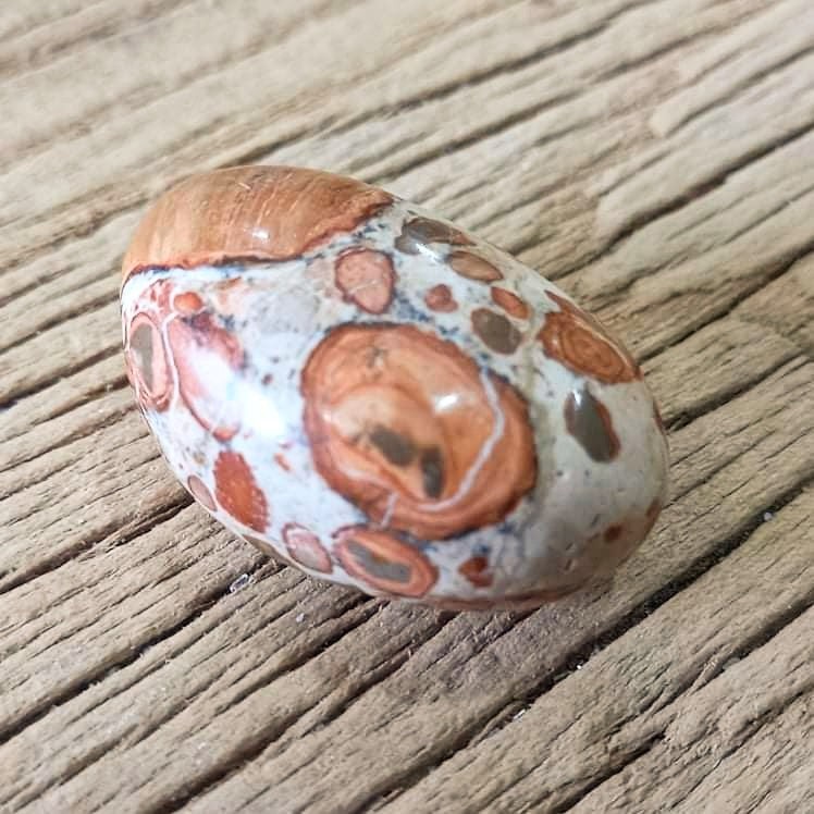 Leopard skin Jasper tumblestones